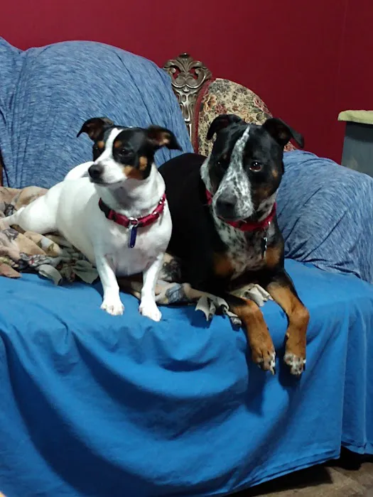 Heritage Acres Veterinary Services Picture 1