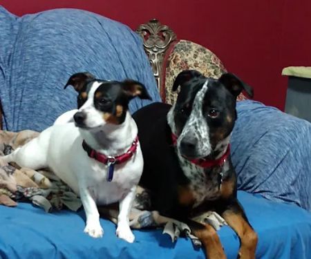 Heritage Acres Veterinary Services