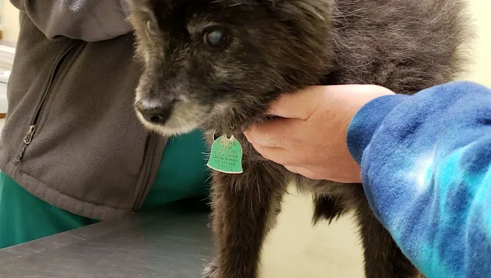 Bancroft Veterinary Clinic Picture 2
