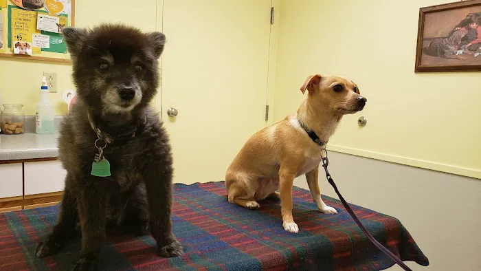 Bancroft Veterinary Clinic Picture 1