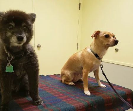 Bancroft Veterinary Clinic