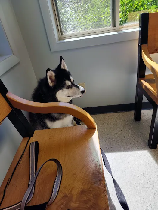 Bancroft Veterinary Clinic Picture 6