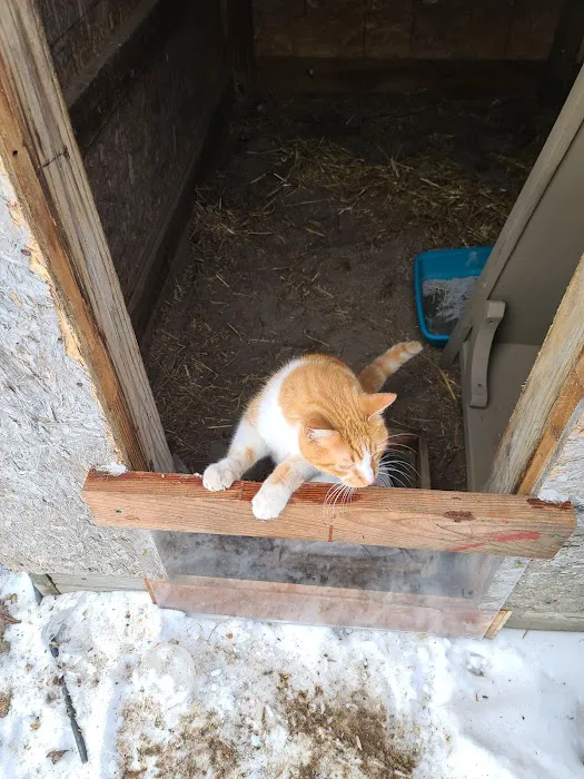Village Veterinary Clinic Picture 8