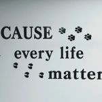 Isabella Cat Clinic