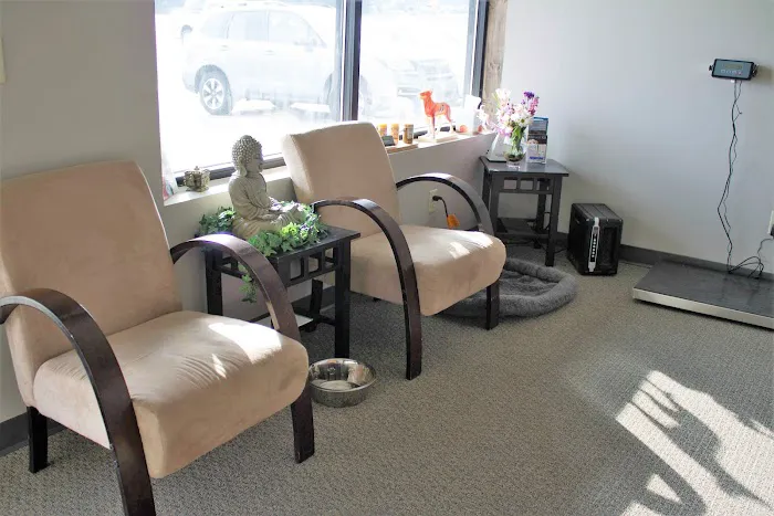 Isabella Cat Clinic Picture 4