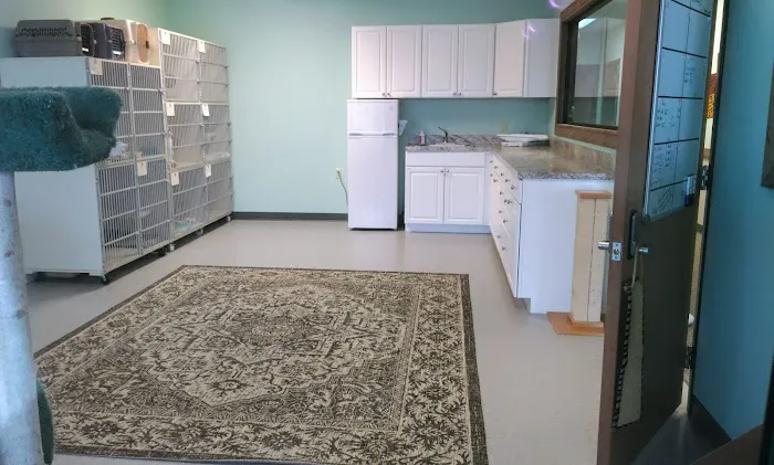 Isabella Cat Clinic Picture 9