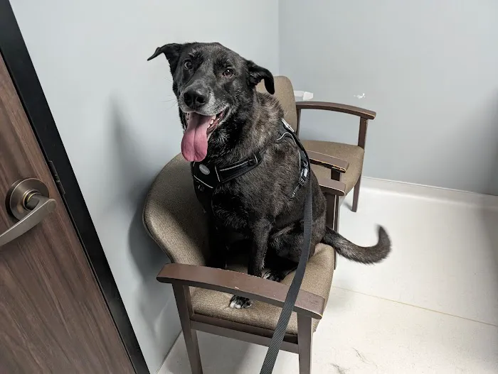 Dorr Veterinary Clinic Picture 8