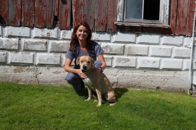 Dorr Veterinary Clinic Picture 10