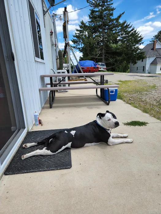 Thornapple Veterinary Medical Center Picture 1