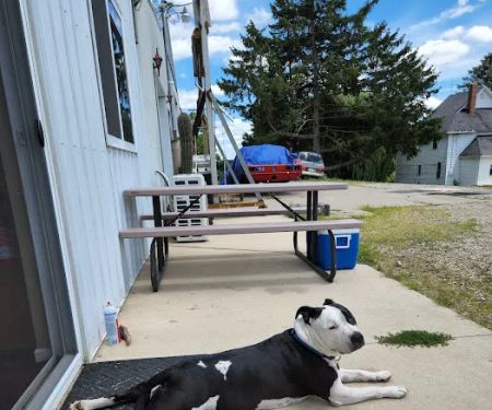 Thornapple Veterinary Medical Center