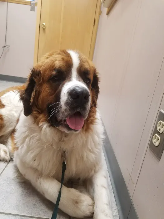 Thornapple Veterinary Medical Center Picture 8
