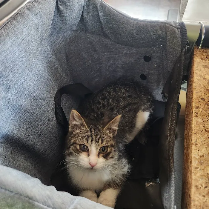 Thornapple Veterinary Medical Center Picture 10