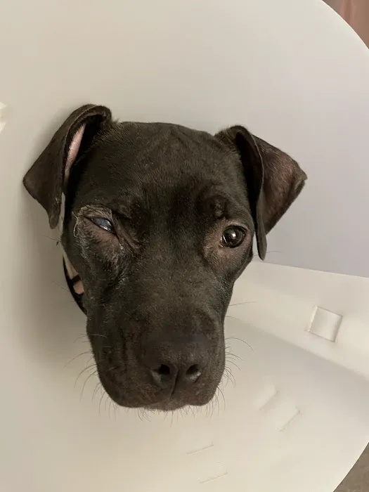 Mars Hill Animal Hospital Picture 7