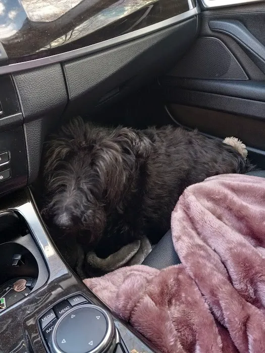 Bates Animal Hospital: Hunter Bates, DVM Picture 6
