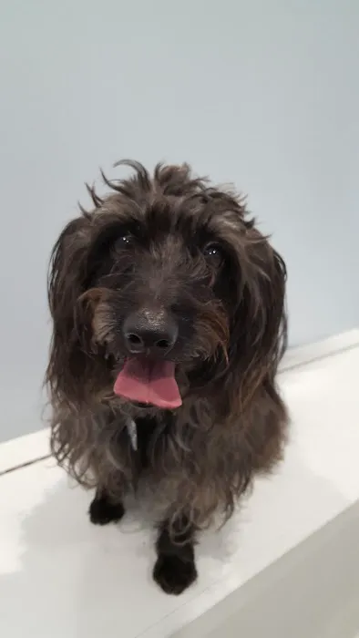 Bates Animal Hospital: Hunter Bates, DVM Picture 10