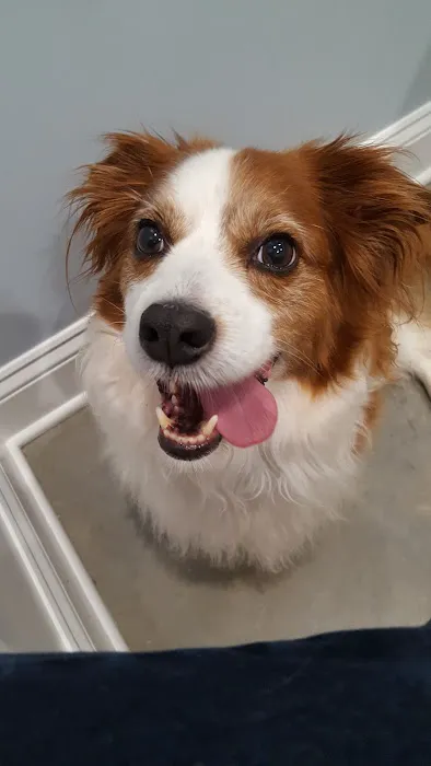 Bates Animal Hospital: Hunter Bates, DVM Picture 8