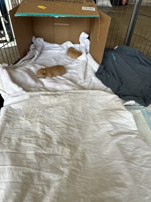 PriorityPet Urgent Care Picture 3