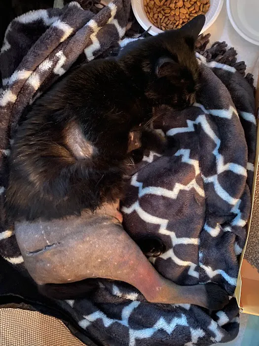 PriorityPet Urgent Care Picture 6
