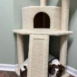 Woodlands Veterinary Referral