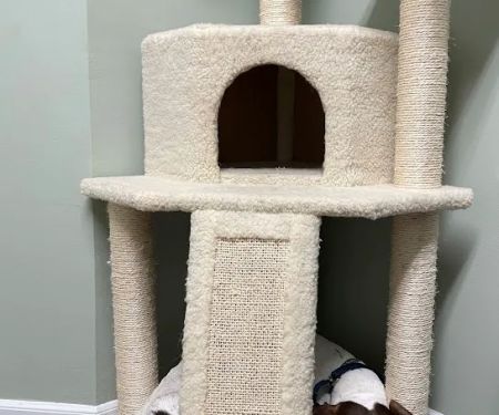 Woodlands Veterinary Referral