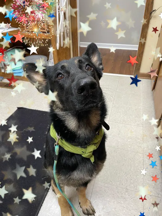 Woodlands Veterinary Referral Picture 9