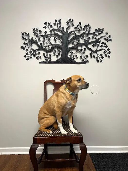 Woodlands Veterinary Referral Picture 8