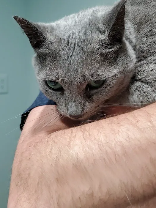 Piedmont Animal Clinic Picture 1