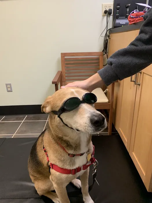 Oconee Veterinary Hospital Picture 1