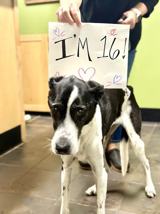 Oconee Veterinary Hospital Picture 6
