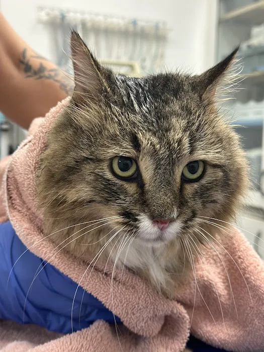 Oconee Veterinary Hospital Picture 7
