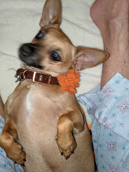 Mid-Carolina Animal Hospital Picture 3