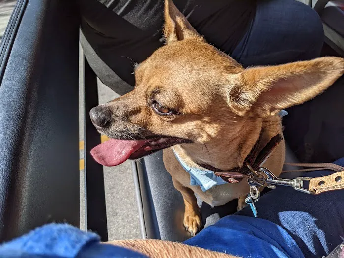 Mid-Carolina Animal Hospital Picture 8