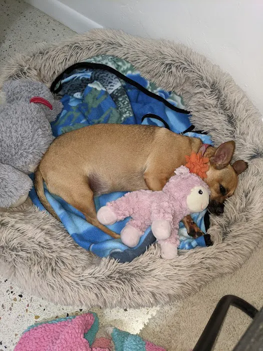 Mid-Carolina Animal Hospital Picture 6