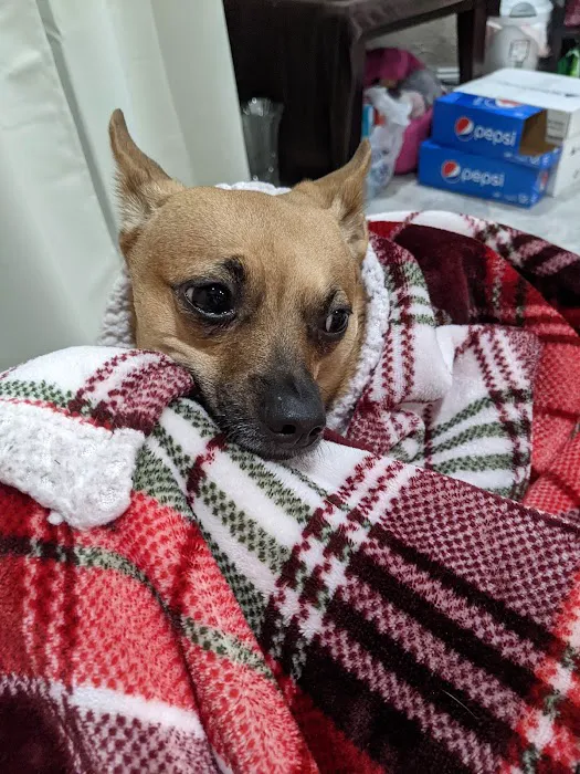 Mid-Carolina Animal Hospital Picture 5