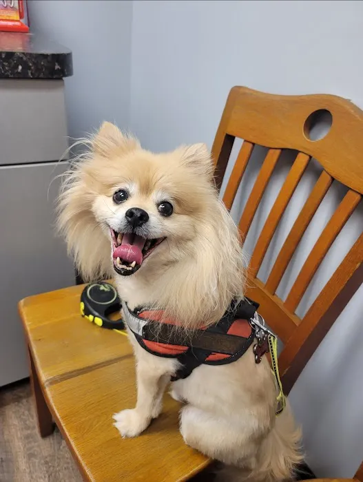 Mid-Carolina Animal Hospital Picture 10