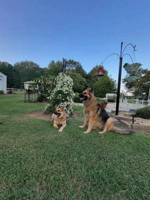 Johnston Animal Hospital Picture 1