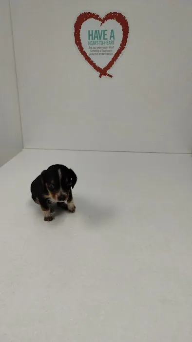 Johnston Animal Hospital Picture 8