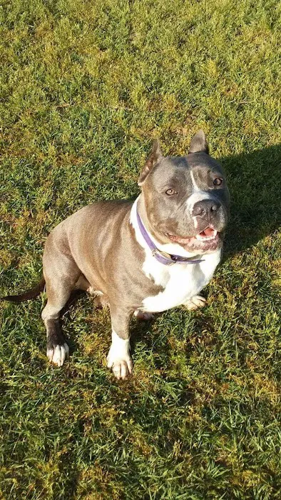 Johnston Animal Hospital Picture 10