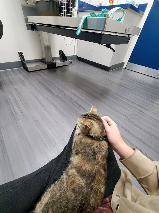 Batesburg-Leesville Animal Hospital Picture 4