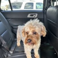 Edgefield Veterinary Clinic ico