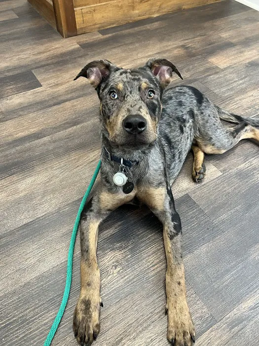 Edgefield Veterinary Clinic Picture 8