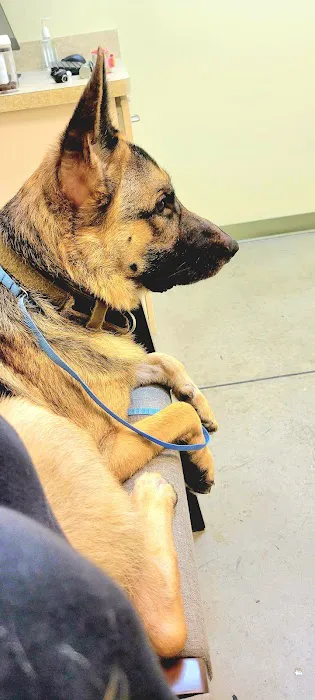 Lake Murray Animal Hospital Picture 8