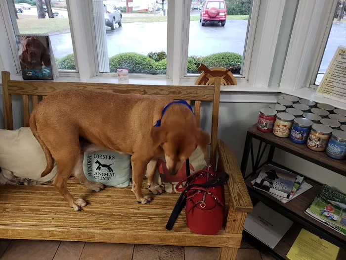 Winder Corners Animal Clinic Picture 8