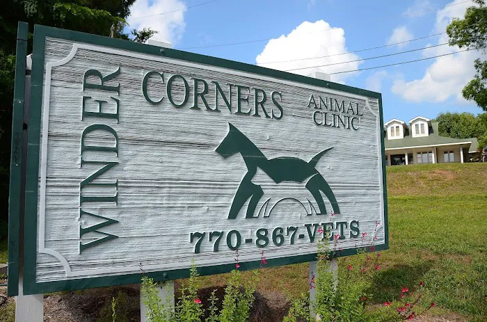 Winder Corners Animal Clinic Picture 10