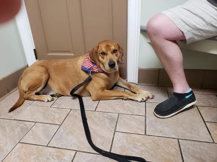 Winder Corners Animal Clinic Picture 9