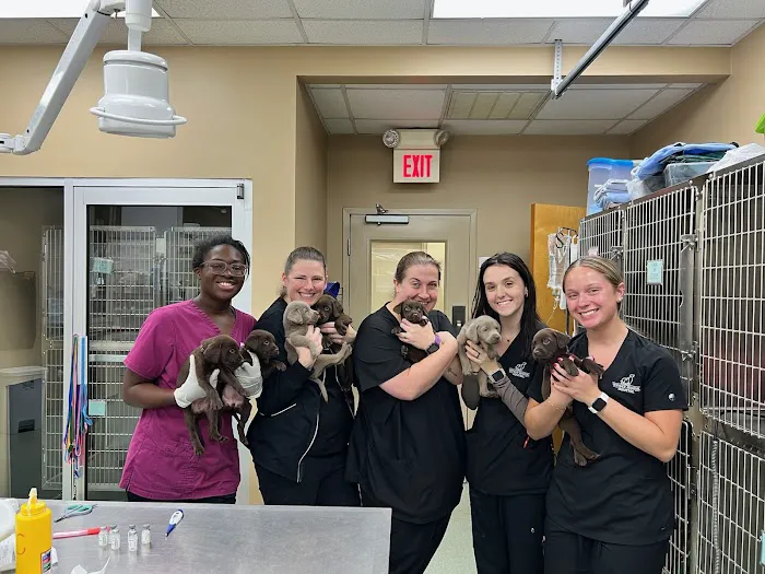 Winder Animal Hospital Picture 8