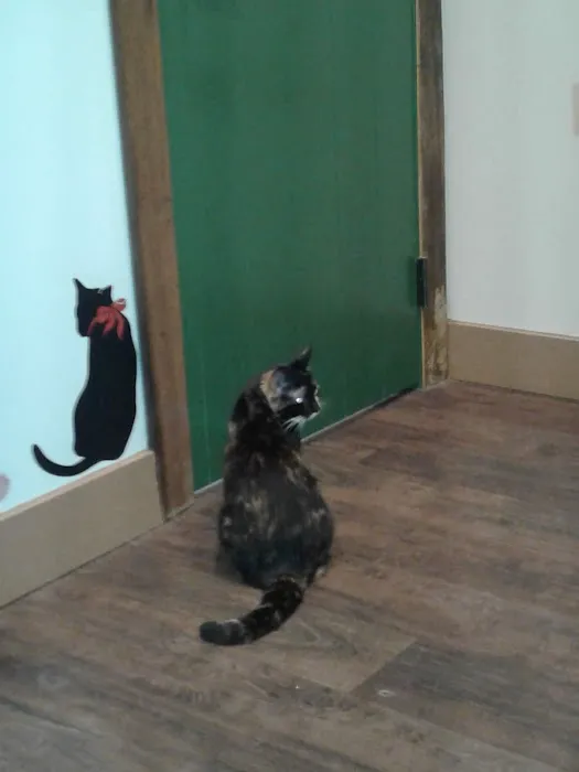 Happy Tails Veterinary Care Picture 2
