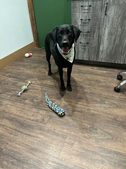 Happy Tails Veterinary Care Picture 8