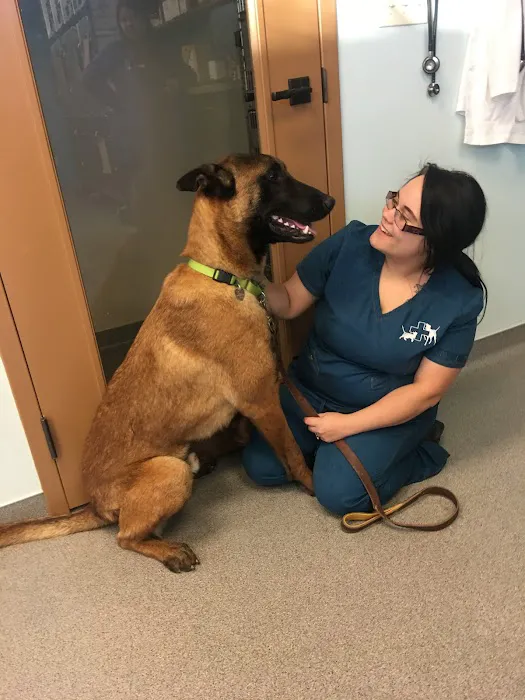 Happy Tails Veterinary Care Picture 9