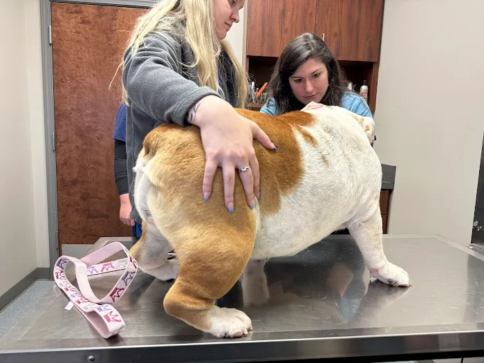 Bethlehem Veterinary Hospital Picture 4